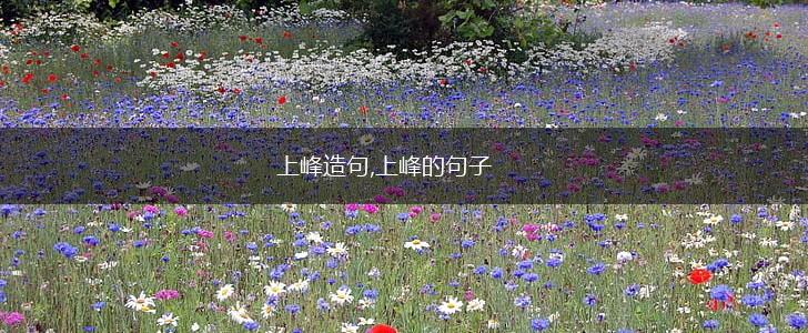 上峰造句,上峰的句子,第1张