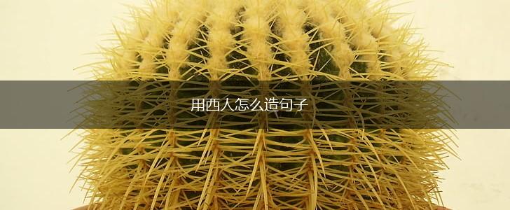 用西人怎么造句子,第1张 用西人怎么造句子,第1张