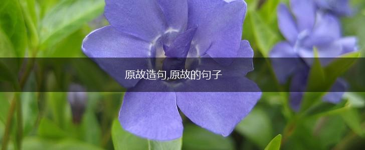 原故造句,原故的句子,第1张 原故造句,原故的句子,第1张