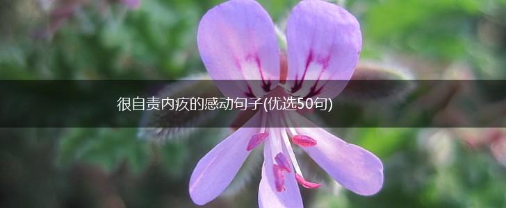 很自责内疚的感动句子(优选50句),第1张