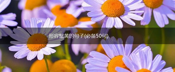 形容蟹黄的句子(必备50句),第1张