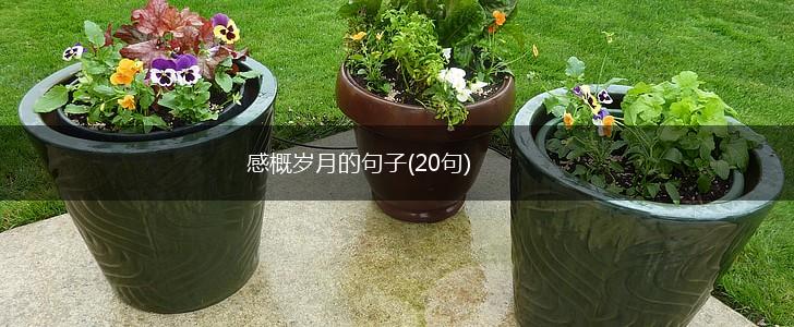 感概岁月的句子(20句),第1张