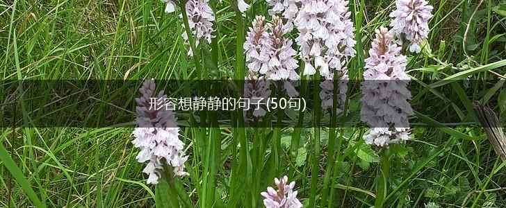 形容想静静的句子(50句),第1张