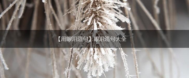 【用眼泪造句】眼泪造句大全,第1张 【用眼泪造句】眼泪造句大全,第1张