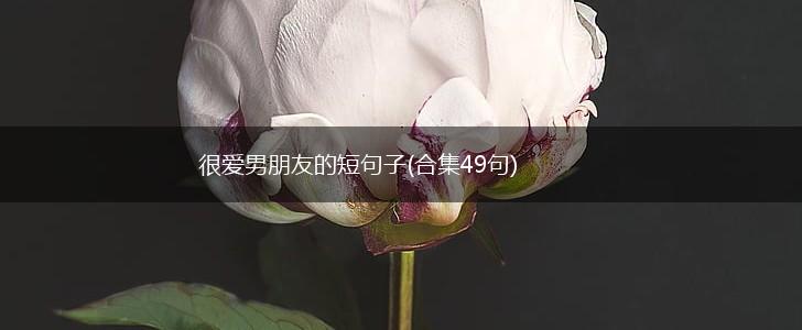 很爱男朋友的短句子(合集49句),第1张