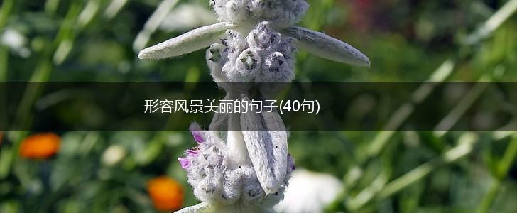 形容风景美丽的句子(40句),第1张