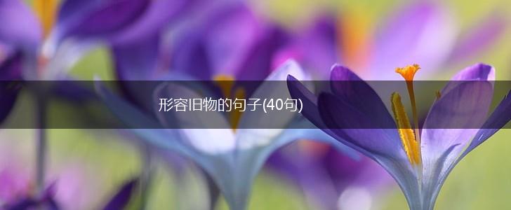 形容旧物的句子(40句),第1张