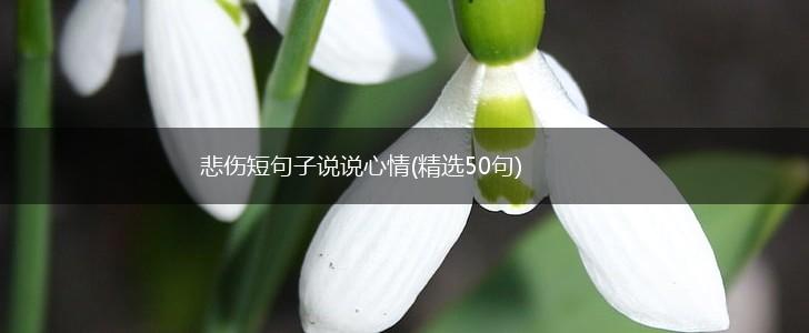 悲伤短句子说说心情(精选50句),第1张