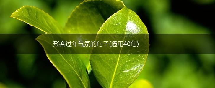 形容过年气氛的句子(通用40句),第1张