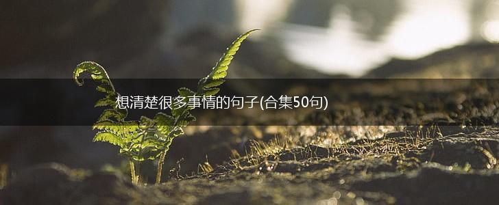 想清楚很多事情的句子(合集50句),第1张