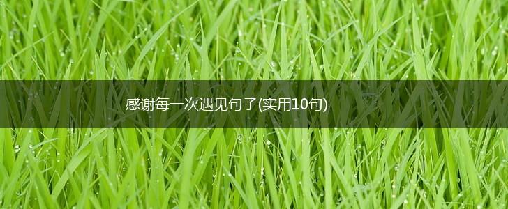 感谢每一次遇见句子(实用10句),第1张