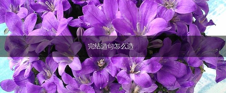 完结造句怎么造,第1张 完结造句怎么造,第1张