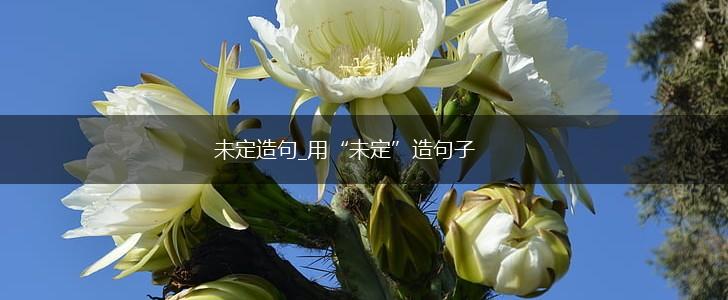 未定造句_用“未定”造句子,第1张 未定造句_用“未定”造句子,第1张
