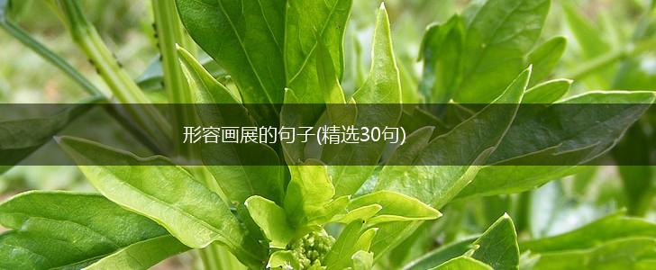 形容画展的句子(精选30句),第1张