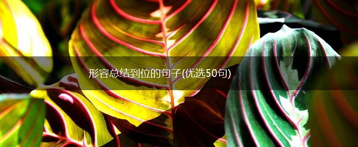 形容总结到位的句子(优选50句),第1张