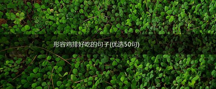 形容鸡排好吃的句子(优选50句),第1张