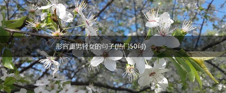 形容重男轻女的句子(热门50句),第1张