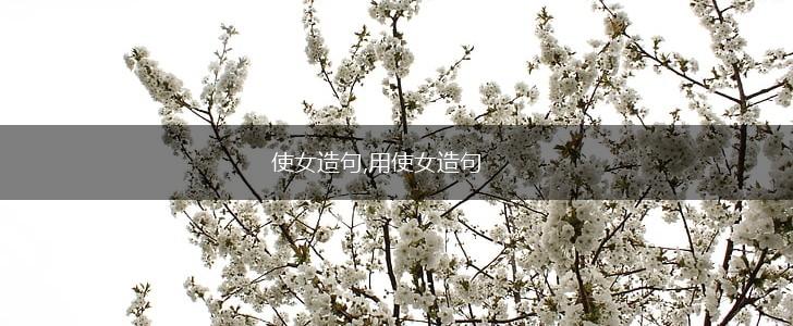使女造句,用使女造句,第1张