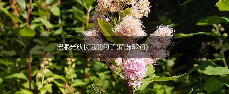把眼光放长远的句子(精选62句),第1张