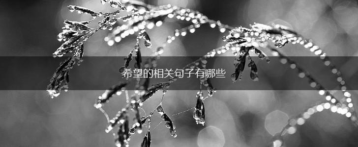 希望的相关句子有哪些,第1张 希望的相关句子有哪些,第1张