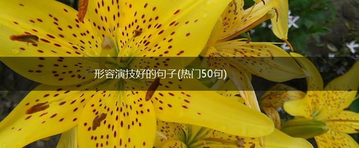 形容演技好的句子(热门50句),第1张