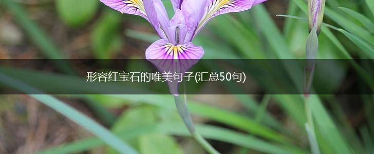 形容红宝石的唯美句子(汇总50句),第1张