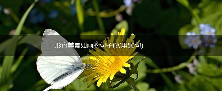 形容美景如画的句子(实用50句),第1张