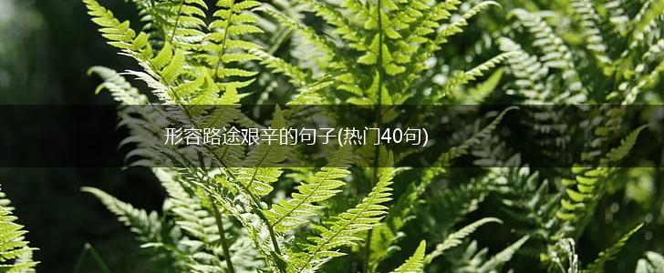 形容路途艰辛的句子(热门40句),第1张