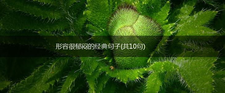 形容很郁闷的经典句子(共10句),第1张