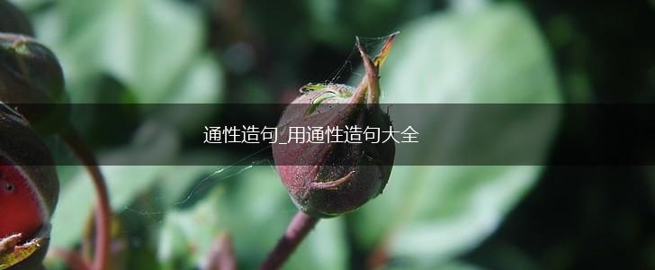 通性造句_用通性造句大全,第1张 通性造句_用通性造句大全,第1张