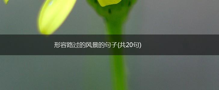 形容路过的风景的句子(共20句),第1张