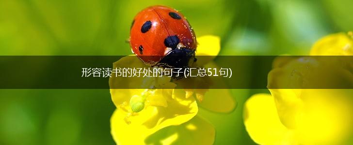 形容读书的好处的句子(汇总51句),第1张
