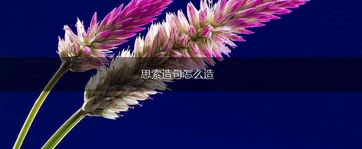 思索造句怎么造,第1张 思索造句怎么造,第1张