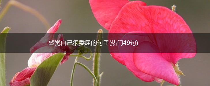 感觉自己很委屈的句子(热门49句),第1张
