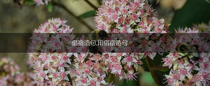 借宿造句,用借宿造句,第1张