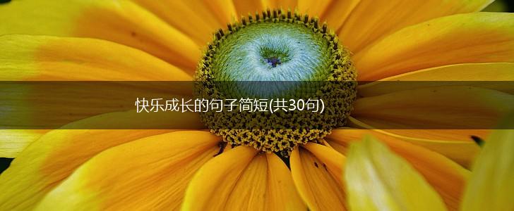 快乐成长的句子简短(共30句),第1张