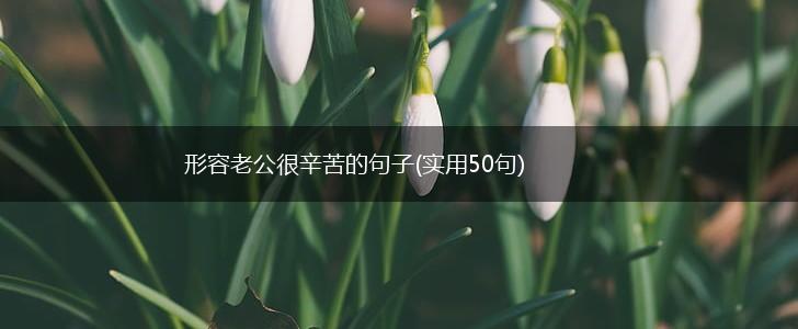 形容老公很辛苦的句子(实用50句),第1张