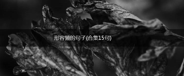 形容懒的句子(合集15句),第1张