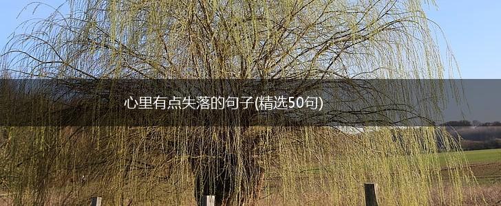 心里有点失落的句子(精选50句),第1张