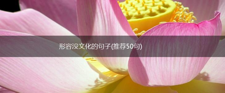 形容没文化的句子(推荐50句),第1张