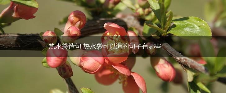 热水袋造句 热水袋可以造的句子有哪些,第1张