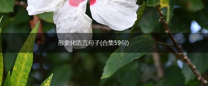 形象化语言句子(合集59句),第1张