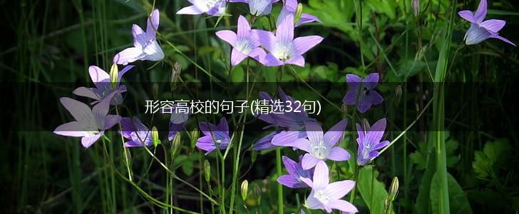 形容高校的句子(精选32句),第1张