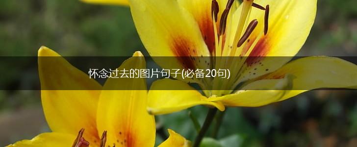 怀念过去的图片句子(必备20句),第1张