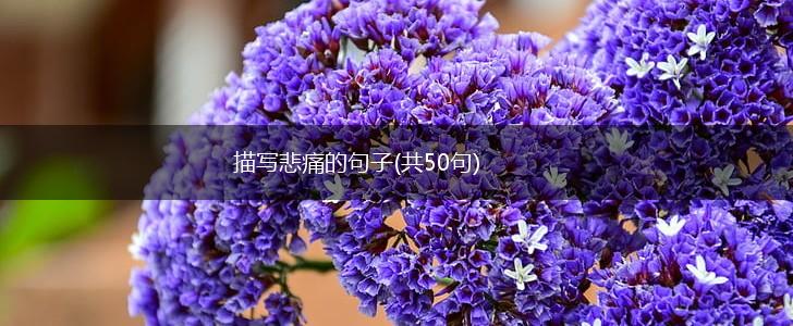 描写悲痛的句子(共50句),第1张