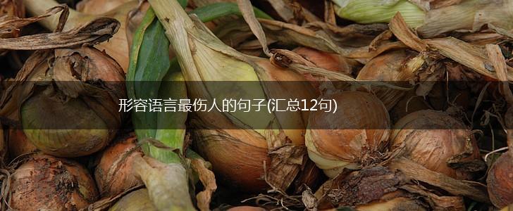 形容语言最伤人的句子(汇总12句),第1张