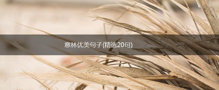 意林优美句子(精选20句),第1张