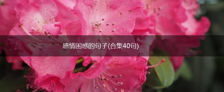 感情困惑的句子(合集40句),第1张