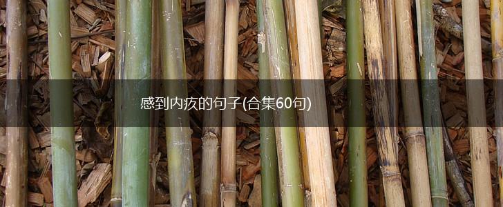 感到内疚的句子(合集60句),第1张
