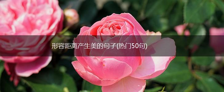 形容距离产生美的句子(热门50句),第1张